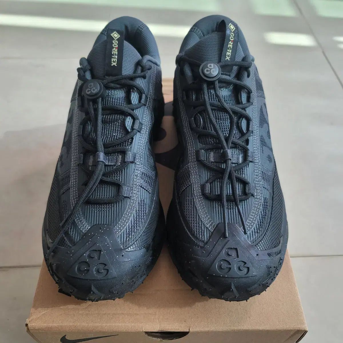 ナイキ ACG マウンテン フライ 2 ロー GXT 275mm