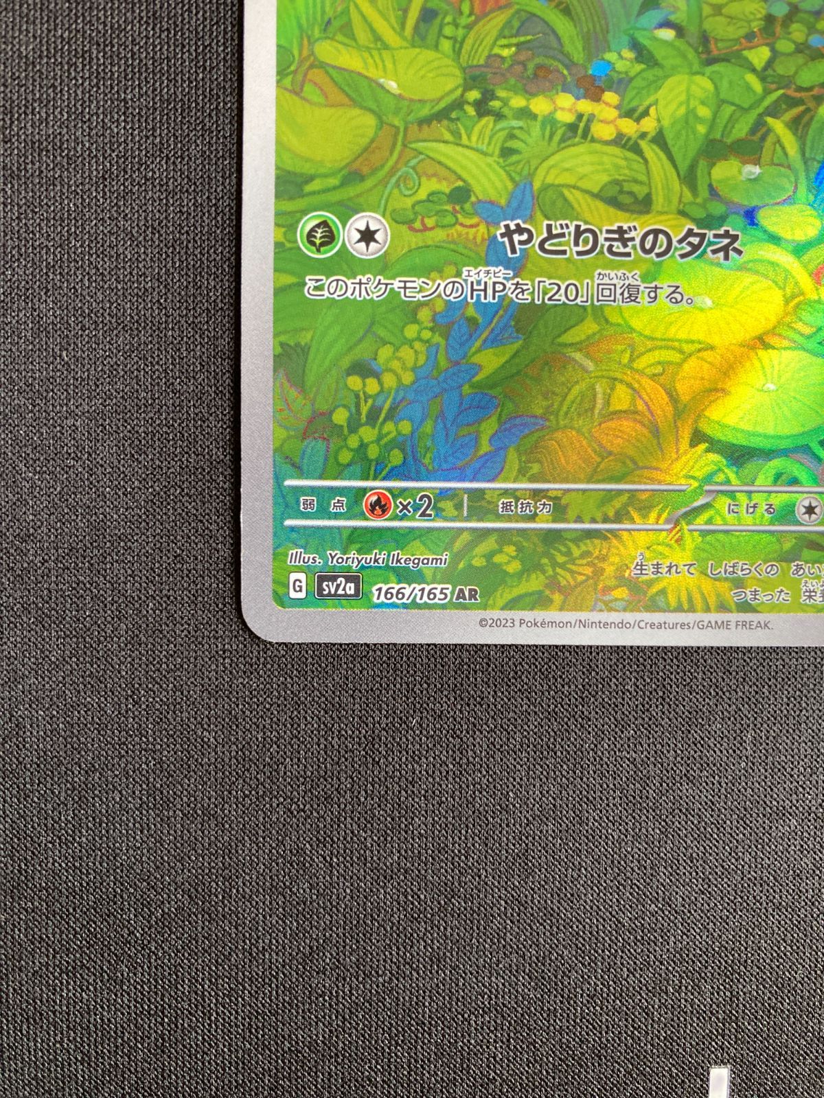 ポケモンカード フシギダネ sv2a 166/165 AR Bulbasaur 151