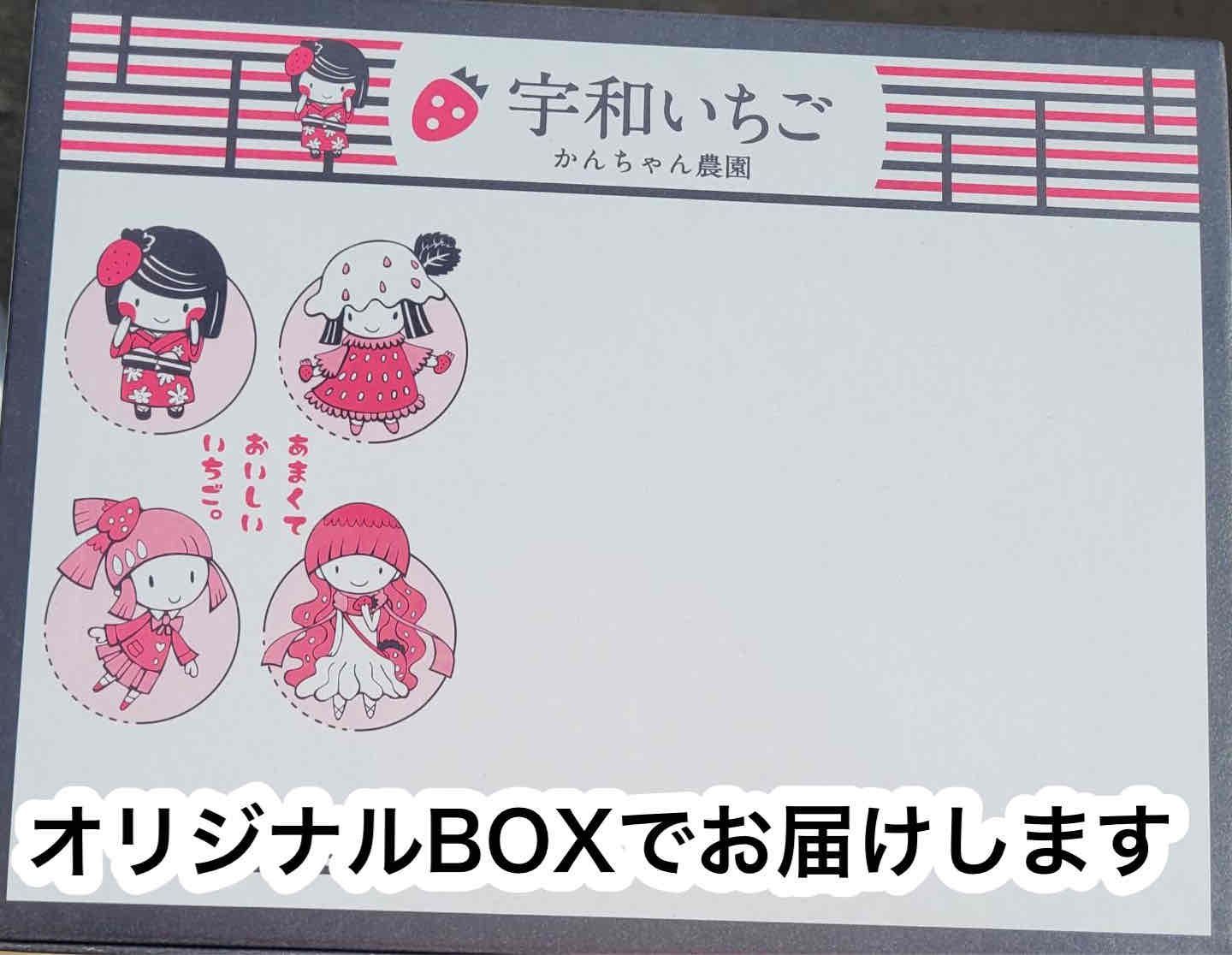 5月分予約販売