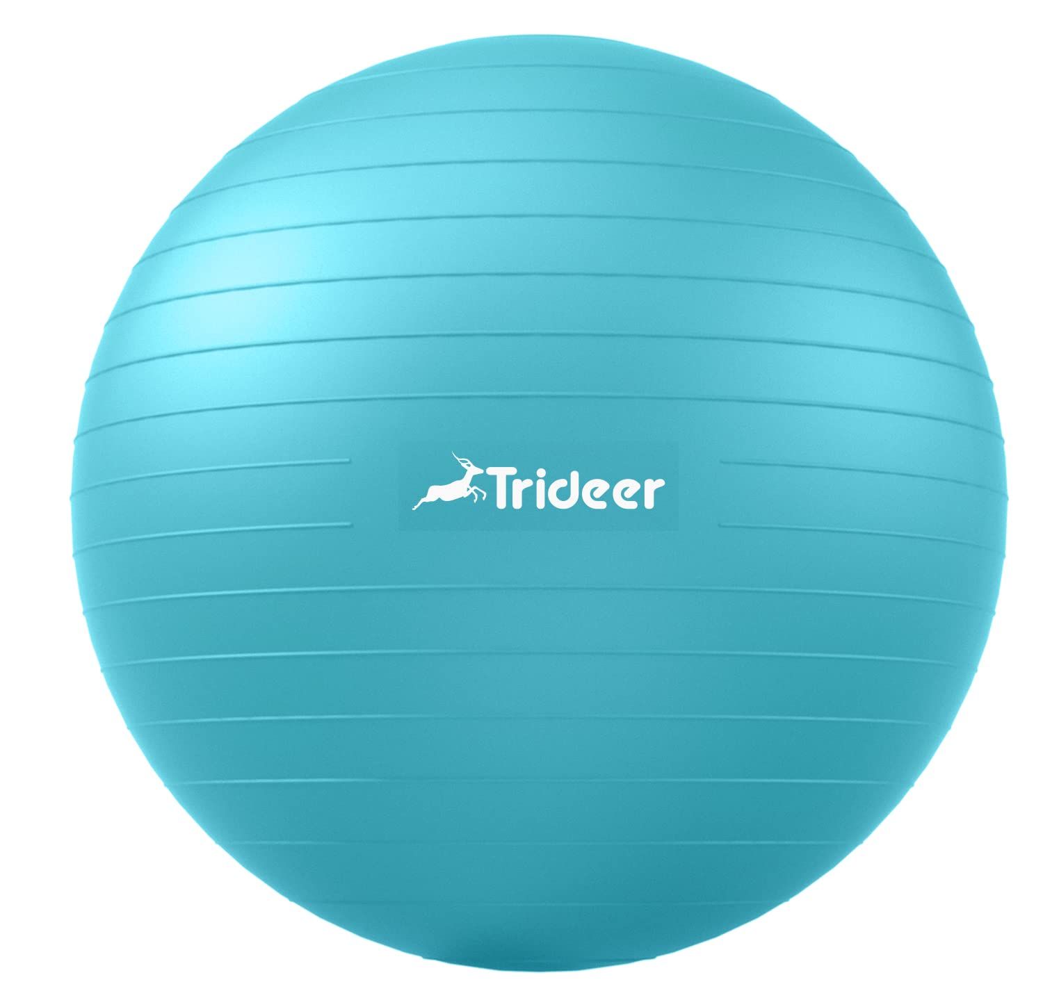 Trideer 厚 ヨガ-エクササイズボール 5サイズ ボールチェア 2200ポンドを支える高耐久 バランス 安定性 妊娠 理学療法 クイックポンプ付き 深紅 L 58-65cm ターキス L 58-65cm