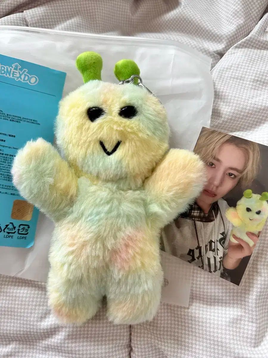 BOYNEXTDOOR プネクド キーリング ペンライトカバー テサン テップン B