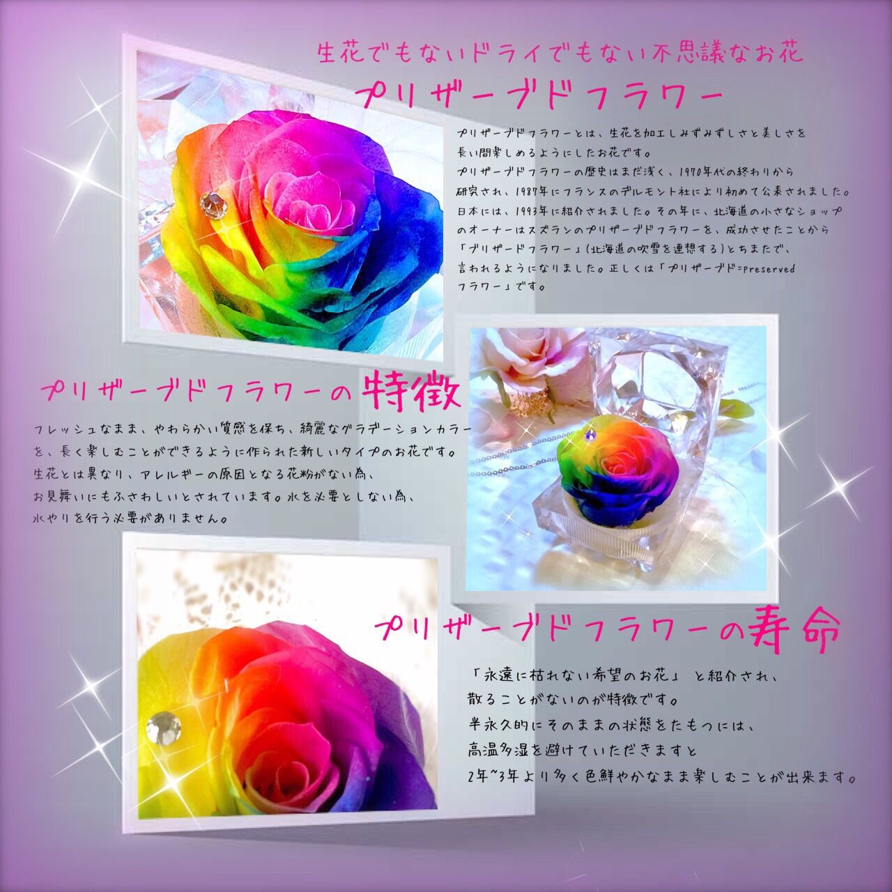 希望の花・レインボーローズプリザーブドフラワー・ミニジュエリー