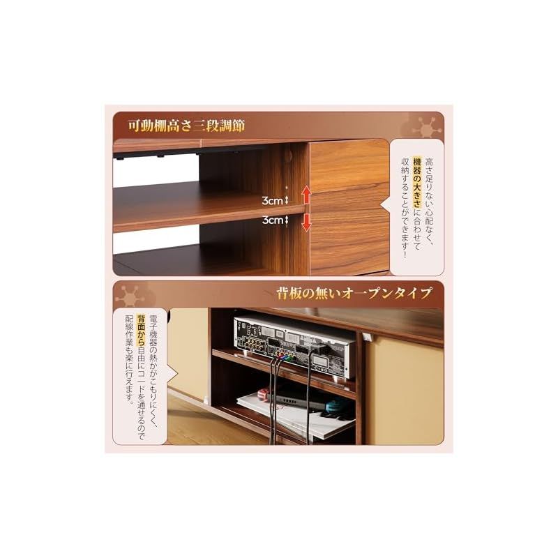 アストロフィツム悟空兜 国内実生 塊根植物 サボテン コーデック