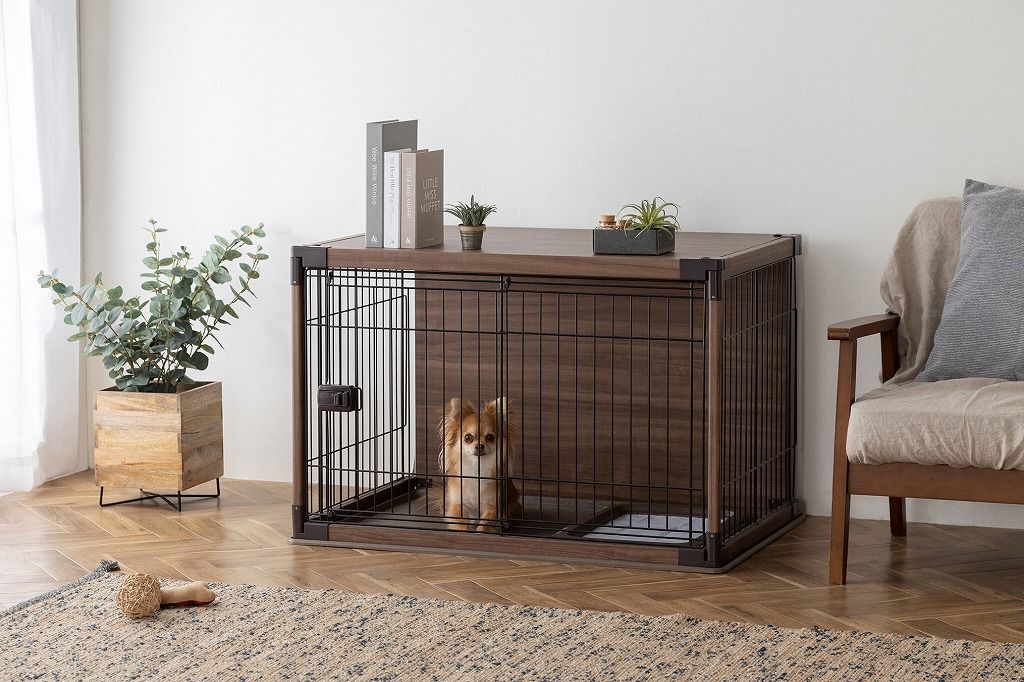 犬