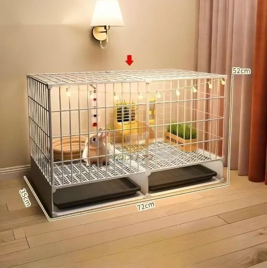 小動物