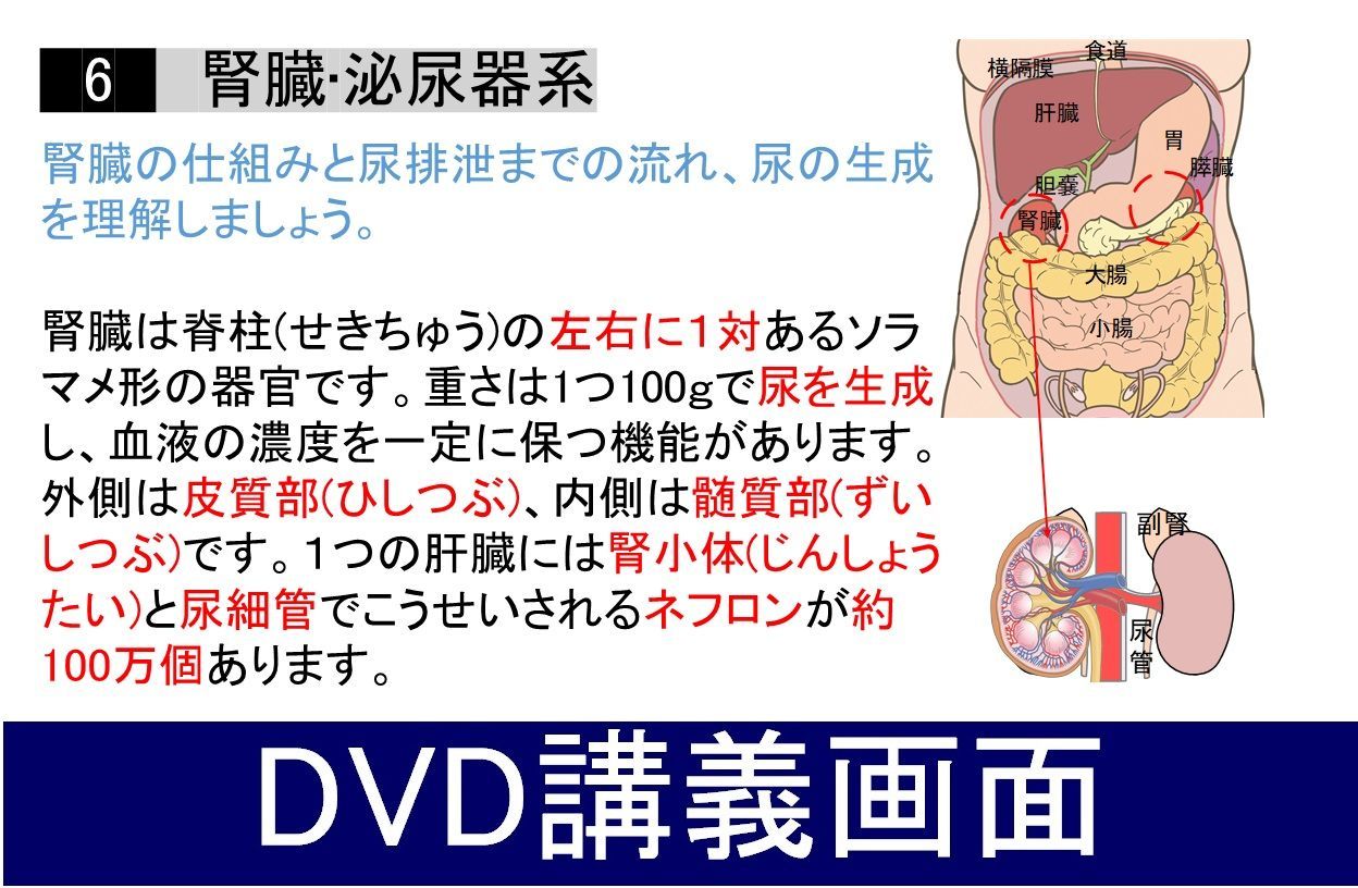 二種衛生管理者講座 DVD+テキスト+過去問(スマホ学習データ付） - メルカリ