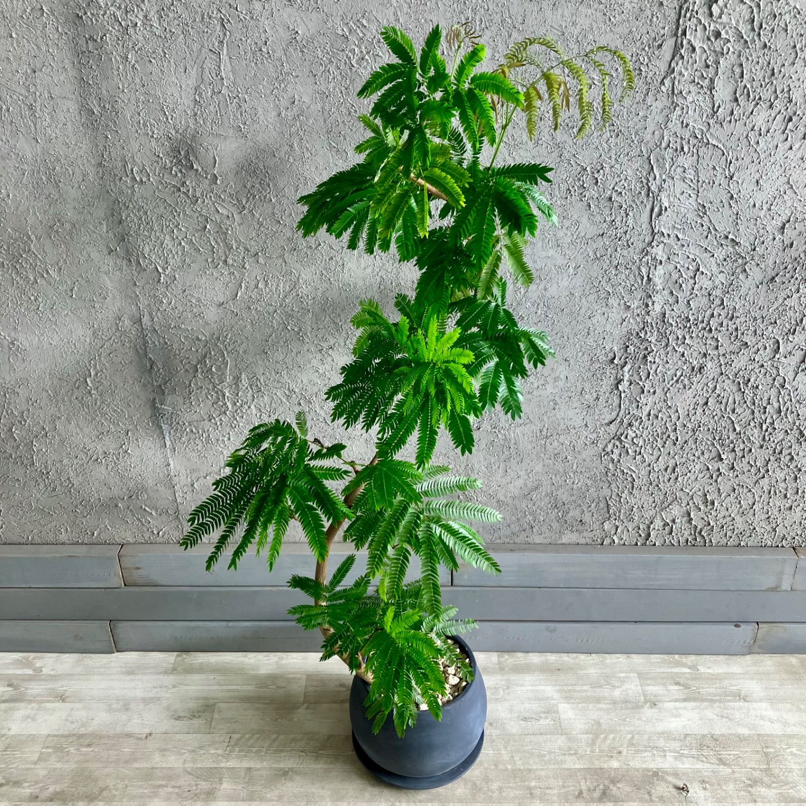 三菱 EKワゴン B33W BR06 触媒 中古 セット ジャンク 三菱 EKワゴン B33W BR06 触媒 中古 セット ジャンク 三菱 EKワゴン