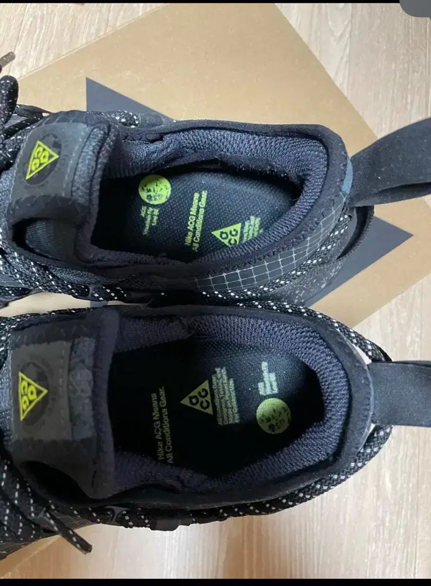 NIKE ナイキ ACG マウンテン フライ 2 ロー