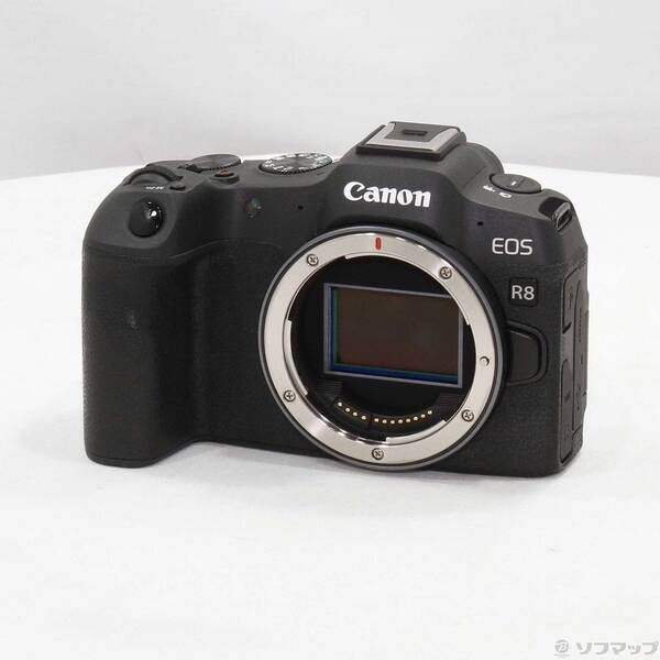 〔 品〕 EOS R8 ブラック ボディ 198