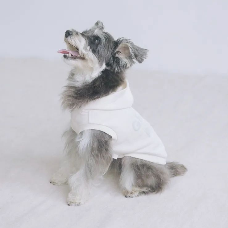 GELATO PIQUE HOMME ジェラートピケオム ジップアップパーカー サイズ:M ボーダー PMNT204908 ホワイト/グレー メンズ  : ティファナガレッジ - 通販 - Yahoo!ショッピング 新品　ジェラートピケフーディ サイズ:M