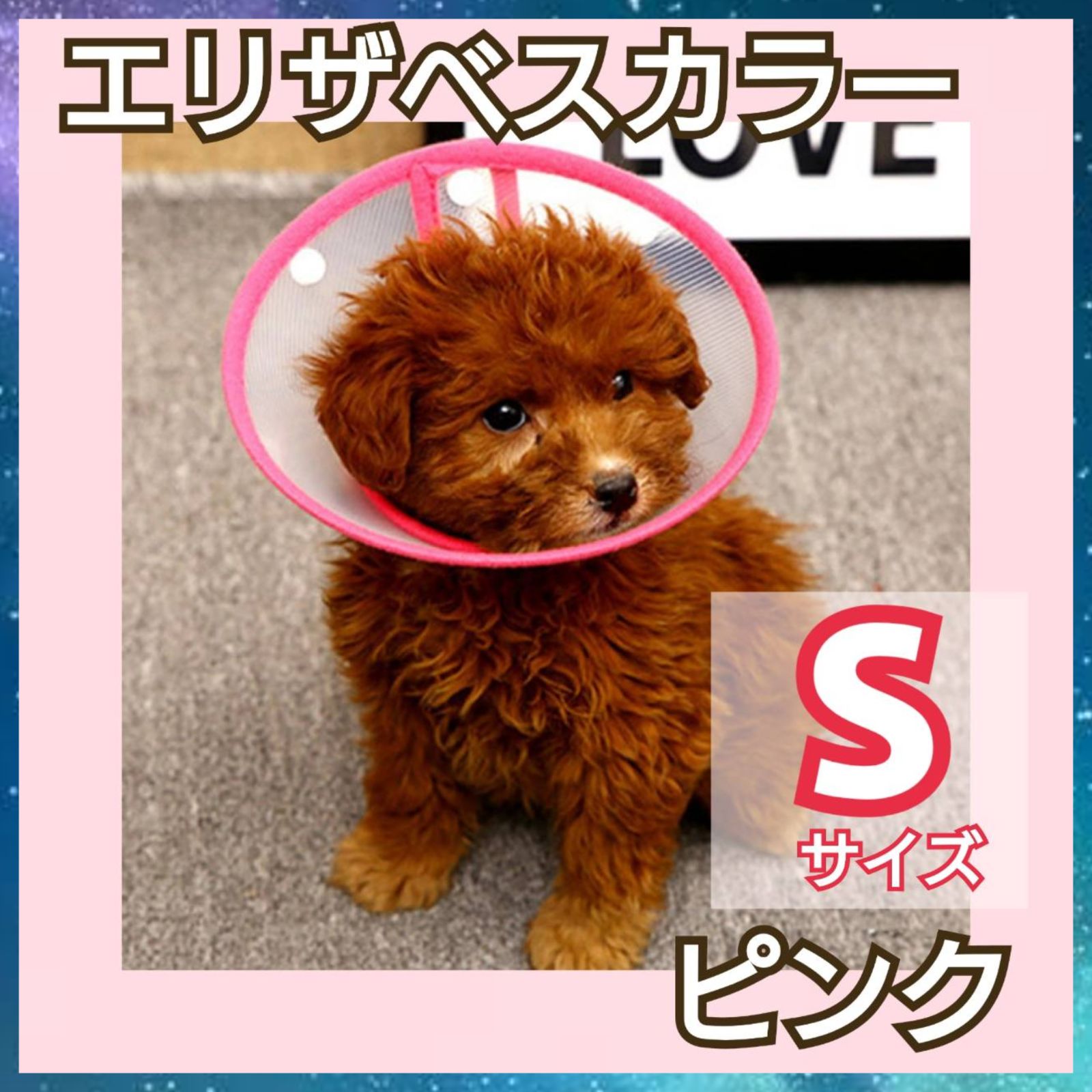 SALE❣️オレンジ エリザベスカラー 子猫 子犬 ソフト 引っ掻き防止