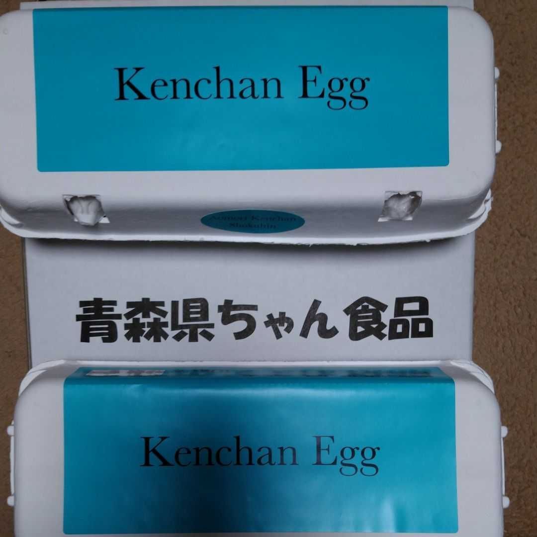 けんちゃん卵MS 50個 あすなろ鶏卵 朝採れ 平飼い たまご 特殊卵 玉子-