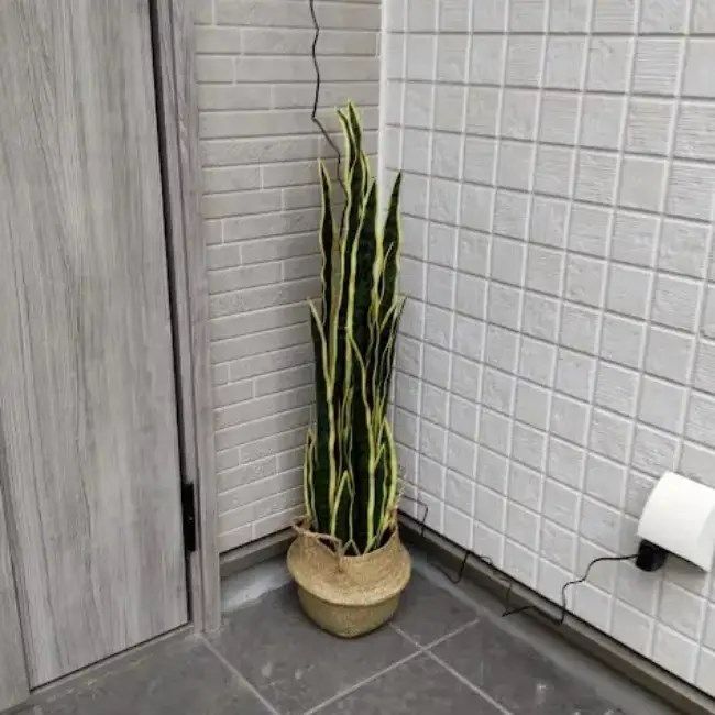 人工植物