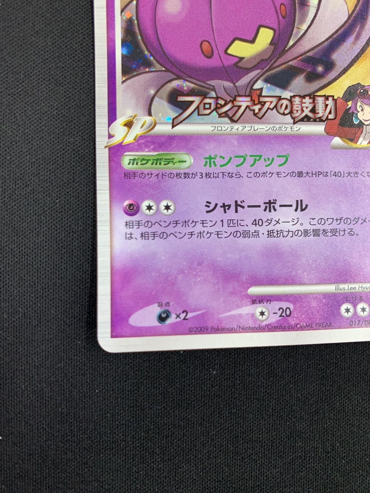 安い，お得 DPtプロモ「フワライドFB」(017/DPt-P)キラ