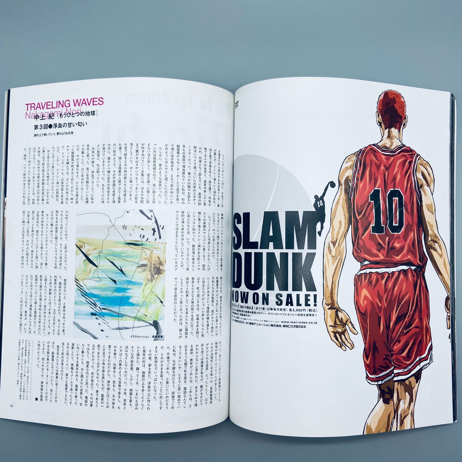 初回限定版スラムダンク SLAMDUNK DVDコレクション+あれから10日後 ...