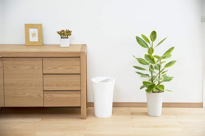 間違いなくゴミ 楽天市場】洗濯洗剤 クリーニング屋さんのエリそで洗剤 （ ポイント