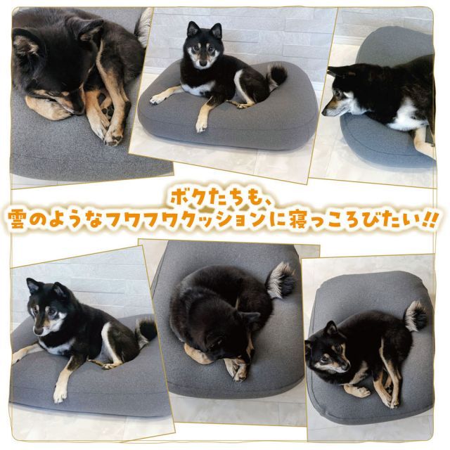 ネイビー Sサイズ