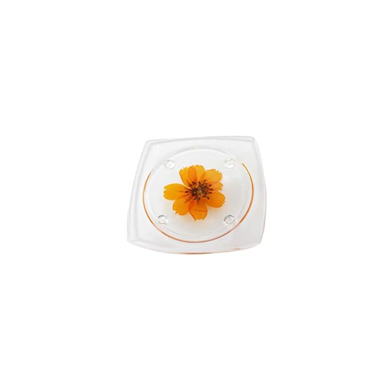 季節の供物皿 押し花