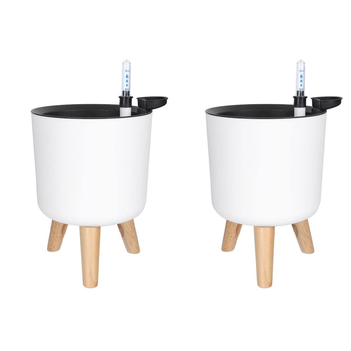 手作植木鉢 XLサイズ 検（ 塊根植物 グラキリス パキプス アガベ) 手作