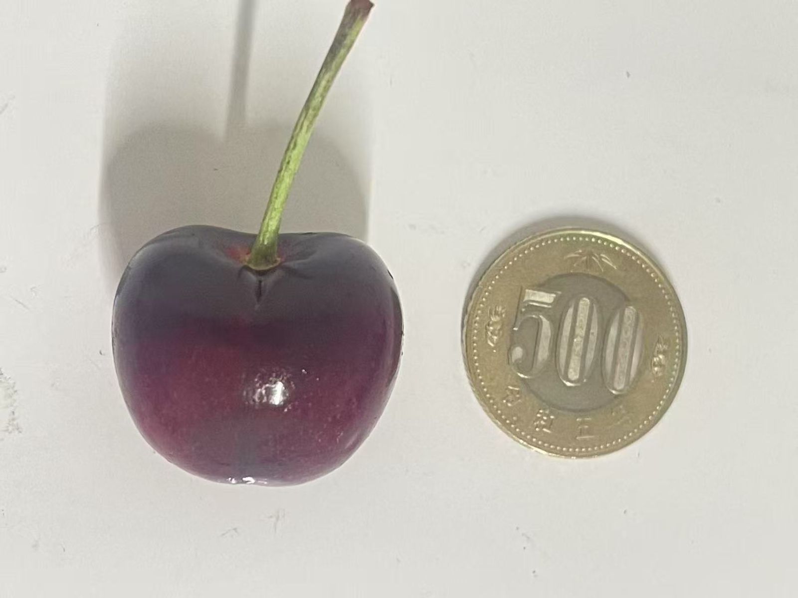 大粒アメリカンチェリー2kg 9.5R クール便 - メルカリ