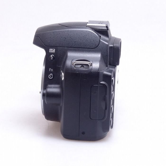 Nikon D40X