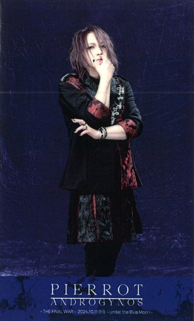 ANDROGYNOUS THE FINAL WAR パンフレット Blue PIERROT 2024 ANDROGYNOS -THE FINAL WAR- -under the Blue Moon