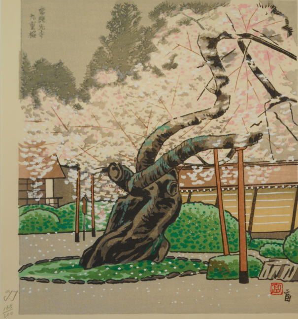 徳力富吉郎作品名徳力富吉郎 　　常照光寺九重桜