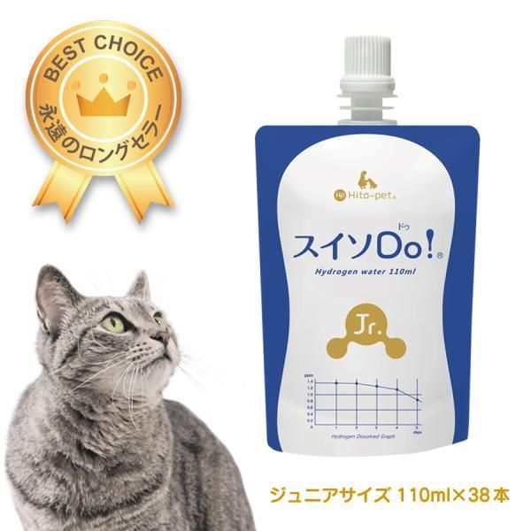 【希少】常滑焼 久松窯 10号 18L 丸壺 蓋付き 漬物 容器 味噌 梅干し 廃盤・希少】常滑焼 久松窯 丸壺10号 蓋付 漬物容器 味噌 梅干し作り
