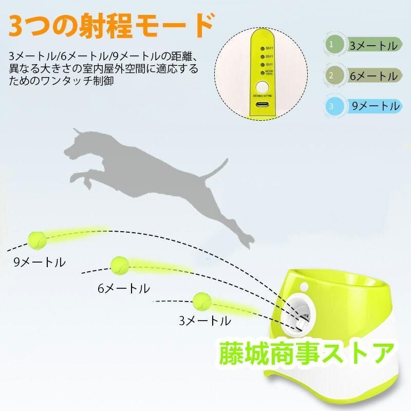 犬