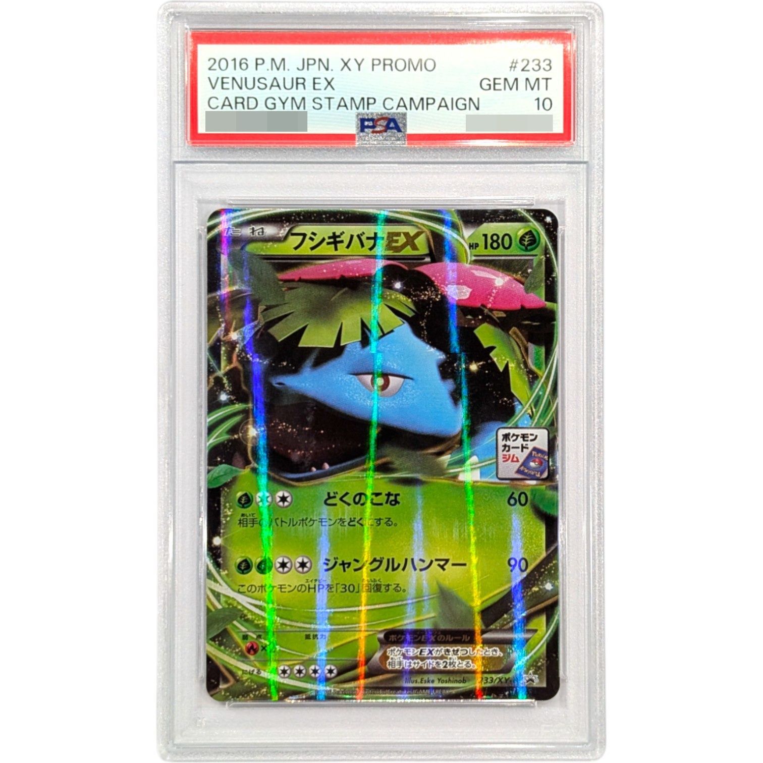 PSA10鑑定済〕フシギバナEX【P】{233/XY-P} - メルカリ