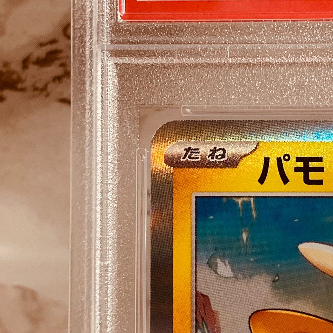 PSA10 パモ プロモ コロコロイチバン！ 035/SV-P ポケモンカード