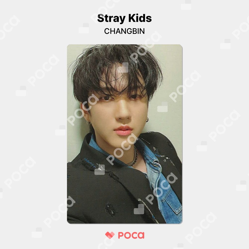 最終値下げ　StrayKids スキズ　チャンビン　SSJ ペンミ　トレカ スキズ ペンミ トレカ まとめ売り チャンビン - メルカリ