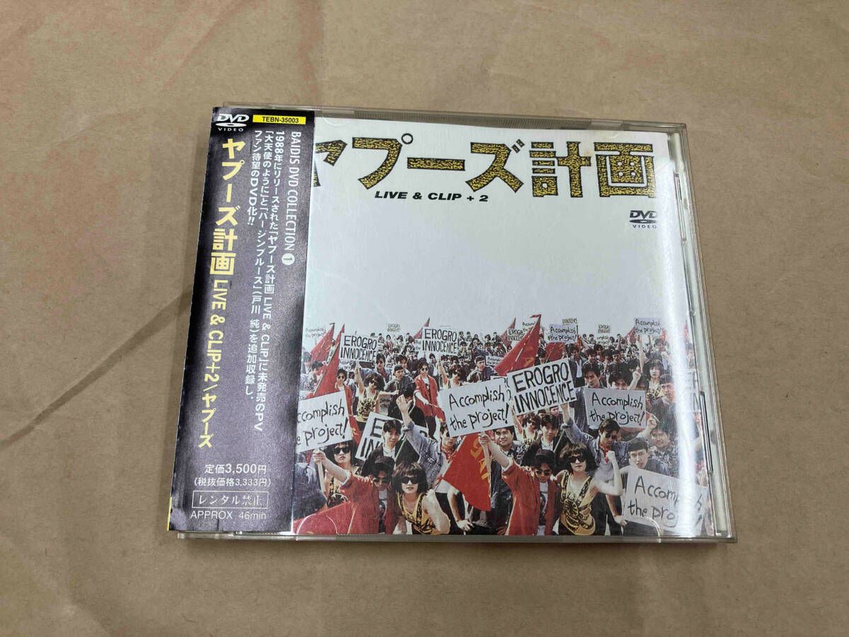 DVD ヤプｰズ計画 LIVE&CLIP+2/ - メルカリ