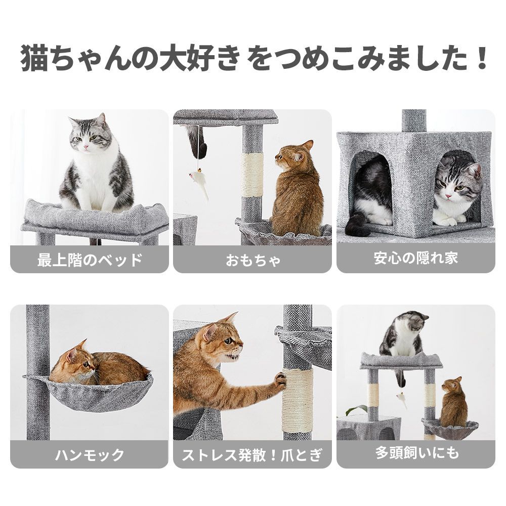 キャツト