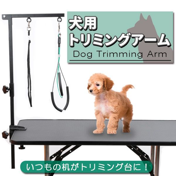 トリミングテーブルトリミング台犬用品ブルー×ブラック