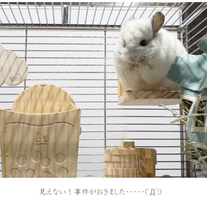 木製 チンチラ パン ハウス ステップ かじり木 小動物 ナチュラル 塗装