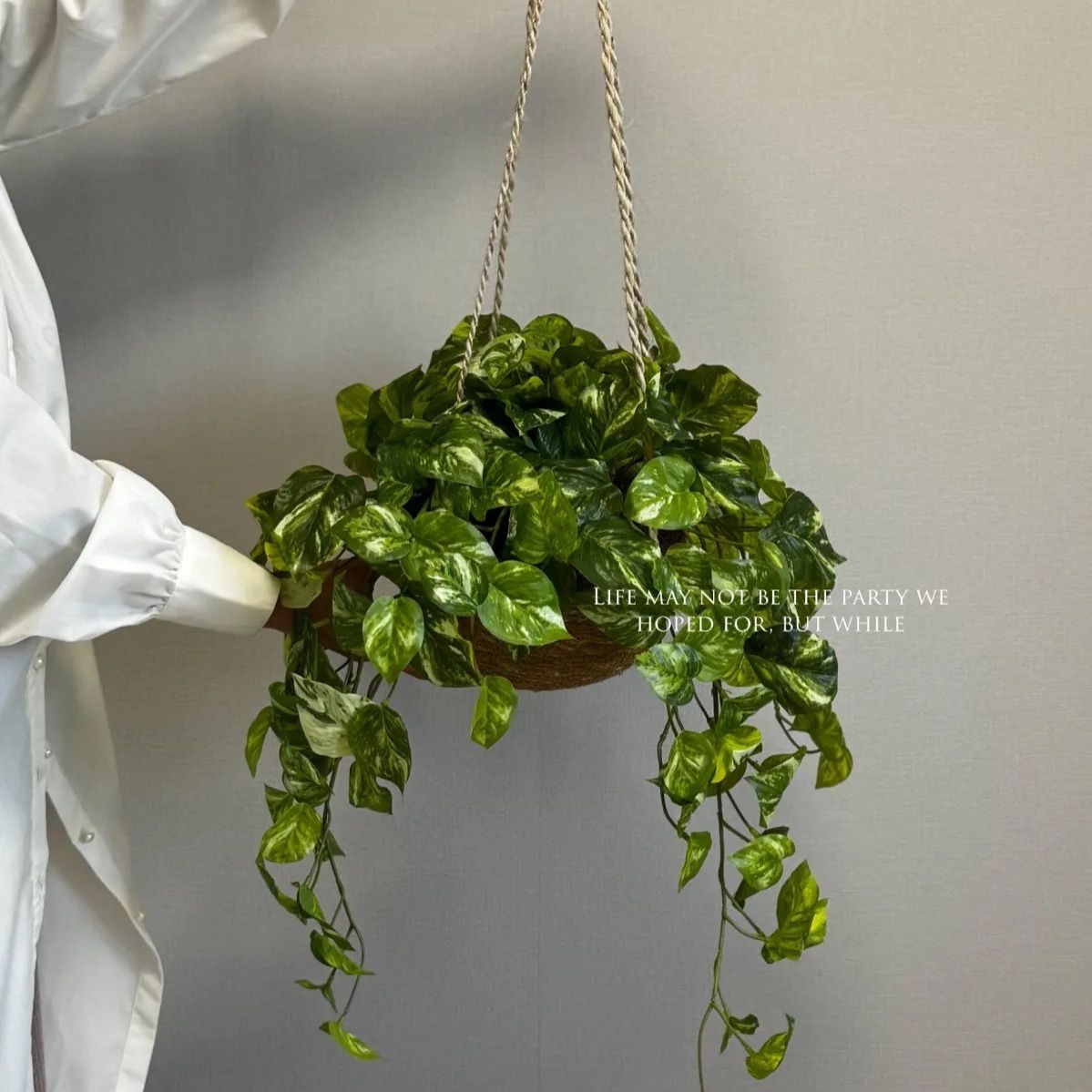 光触媒 観葉植物 ウォールグリーン フェイクグリーン ウオールタイプ