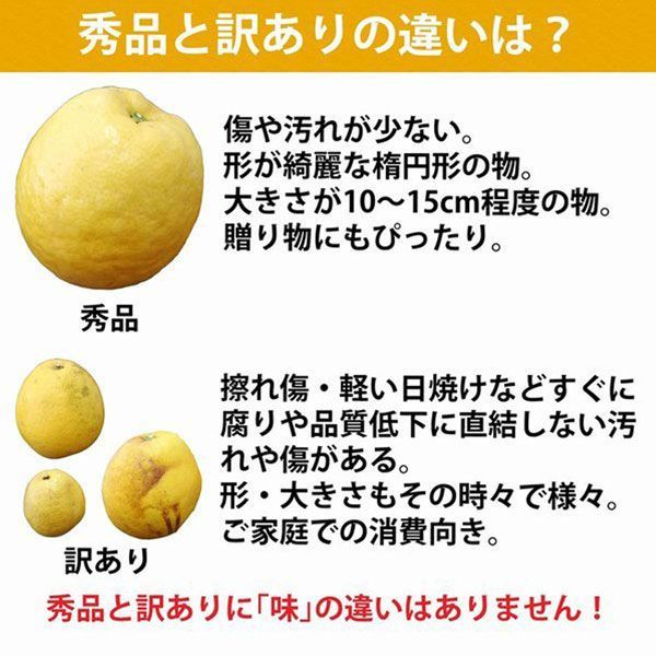 みかん 果物