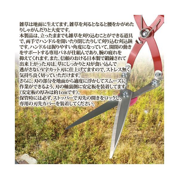 草刈かっちゃん 870430