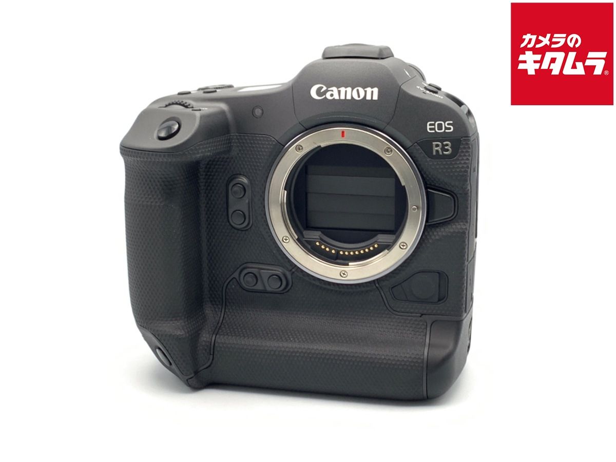 SONY α7III 純正充電器 シリコンケース付き 美品 撮影枚数5906枚 SONY α7III 純正充電器 シリコンケース付き 美品 撮影枚数5906枚