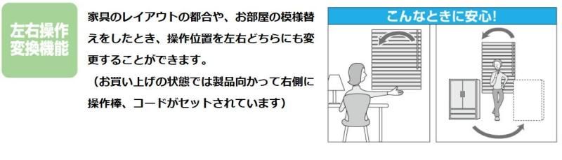 アイボリー