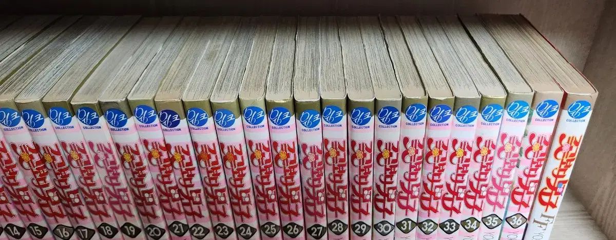 ファンブック