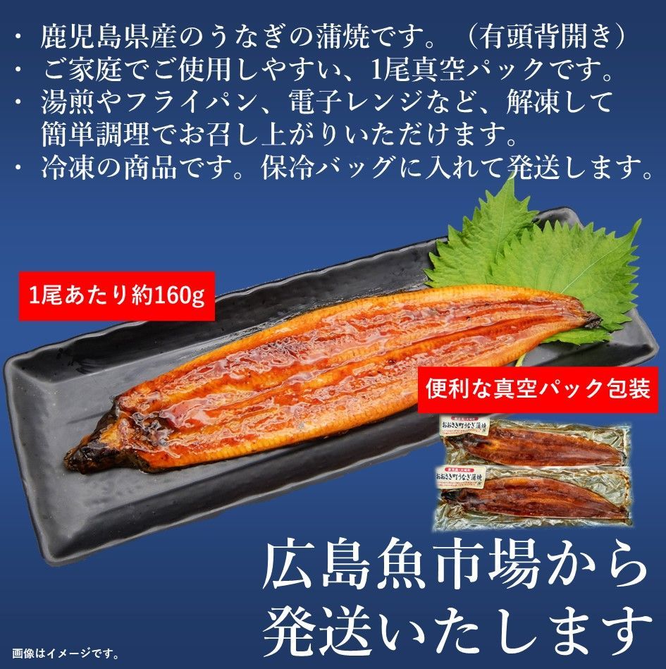 【メーカー直売】 鹿児島産鰻蒲焼 大サイズ2尾セット 送料込 4,980円】【税込 その他 加工食品