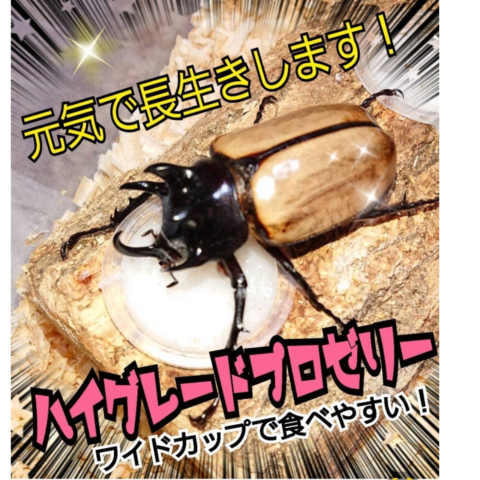 国産プロゼリー1500個KBファーム・カブトムシ クワガタ 【木ぼく】 KB