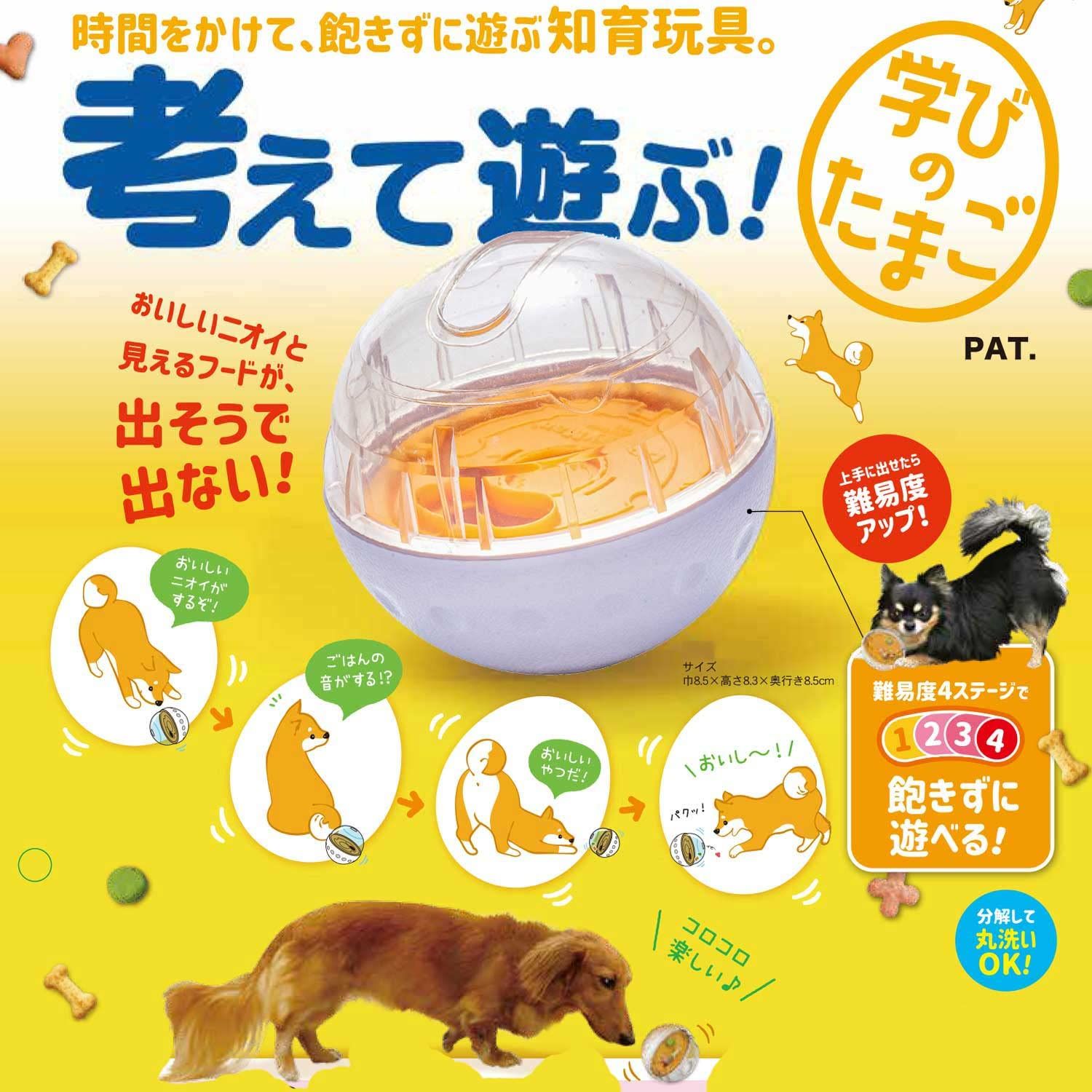 ドギーマンハヤシ