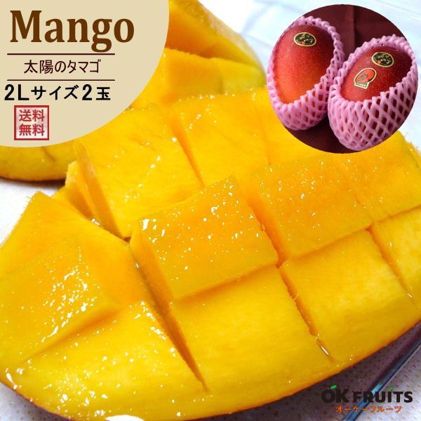 母の日 プレゼント プチカーネーション＆健康茶付き サプライズ ギフト 完熟マンゴー 大玉2Lサイズ×2玉入 宮崎産化粧箱入り 宮崎マンゴー2L 大玉 2玉