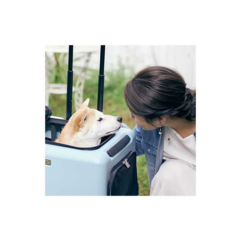 犬