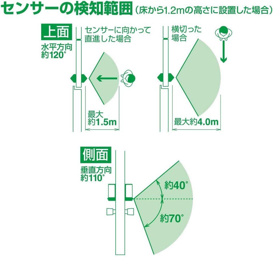 セール キングジム