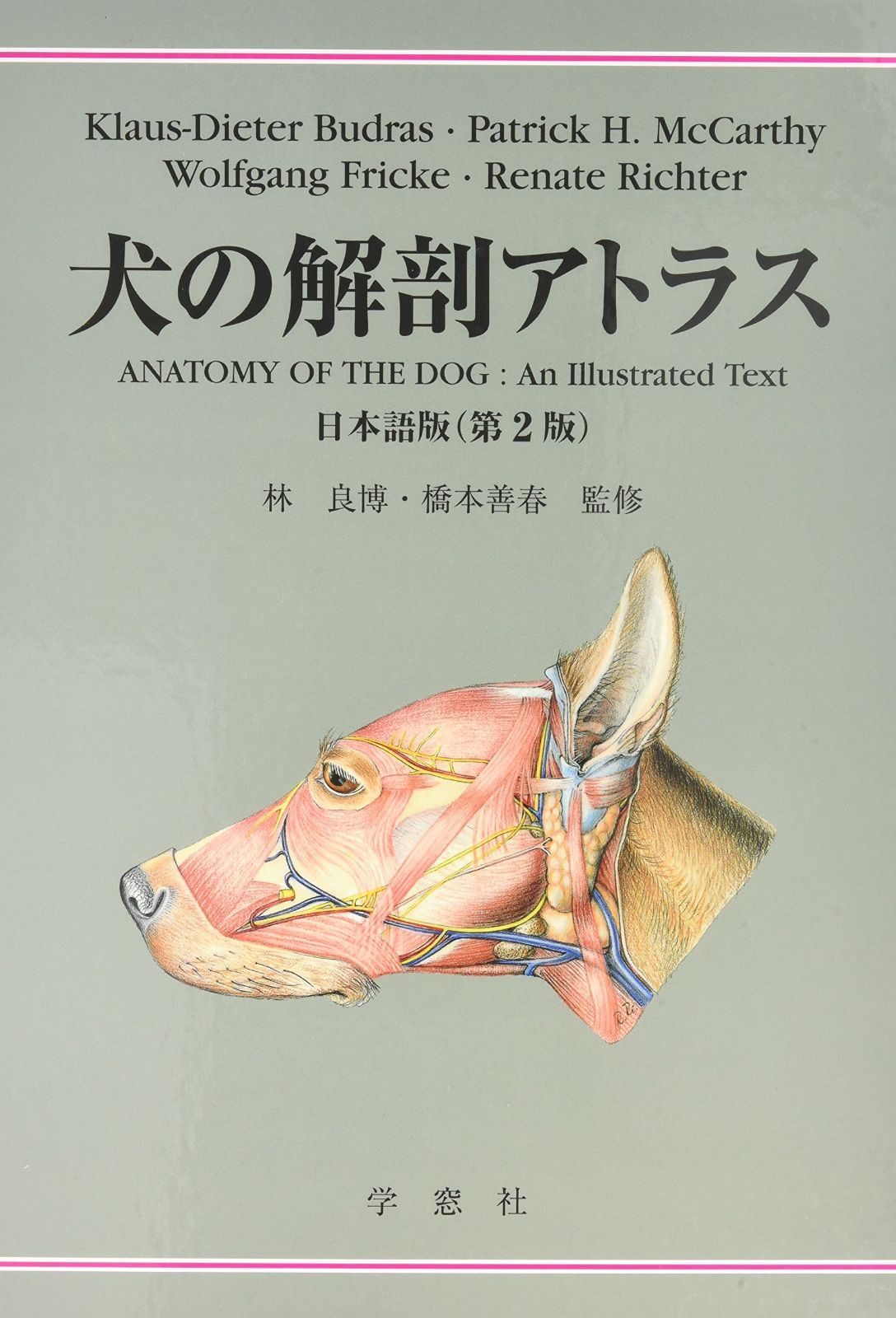 犬の解剖アトラス 日本語版 第2版 - メルカリ