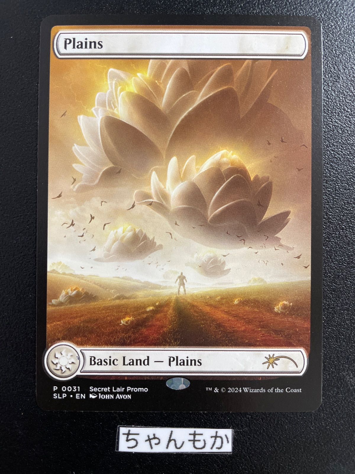 ☆m13062 Plains (0031) - Secret Lair Showdown (SLP) 平地